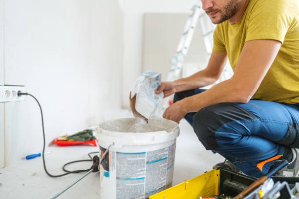 Idaho Springs, CO Mold Removal Company