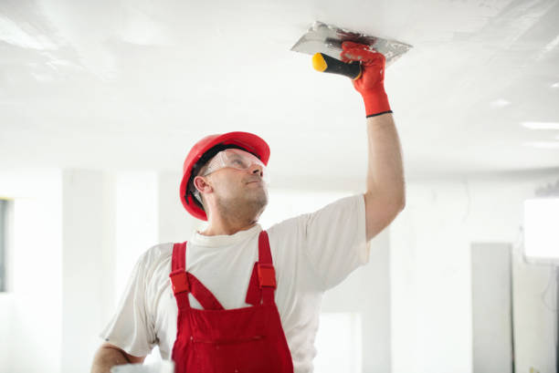 Best Asbestos and Lead Testing During Mold Inspection  in Idaho Springs, CO